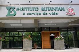 Butantan pede à Anvisa para testar soro anti-covid em humanos