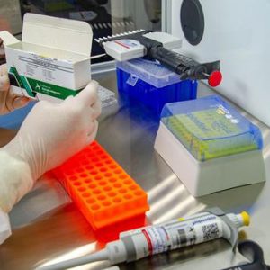 Senado aprova PEC que suspende cobrança de impostos sobre vacinas em época de pandemia