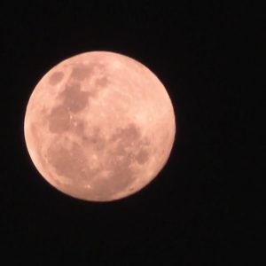 ‘Superlua’ é vista no céu de Salvador; eclipse lunar ocorre na manhã desta quarta