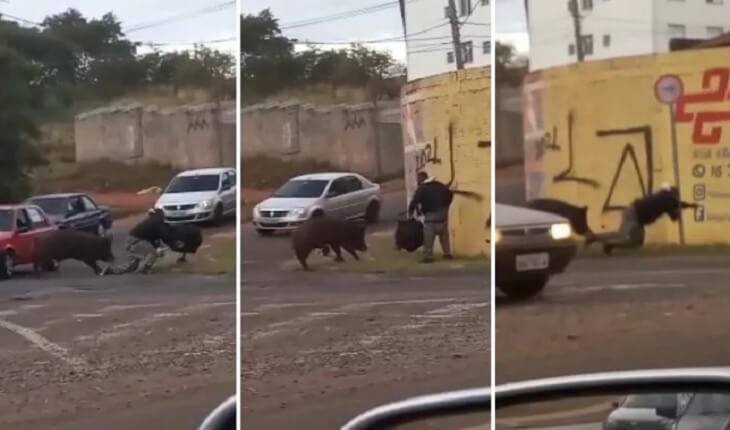 VÍDEO: Entregador é mordido e derrubado por porco no meio da rua