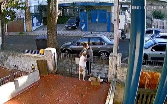 Cadela tem roupa furtada no portão de casa; veja vídeo