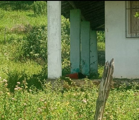 Homem foi encontrado morto na zona rural de Alagoinhas.
