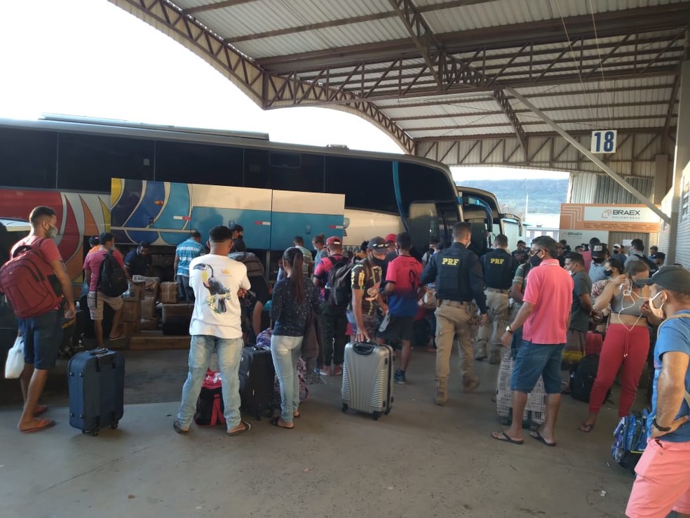 Homem é preso e cinco ônibus clandestinos são apreendidos durante operação no oeste da Bahia