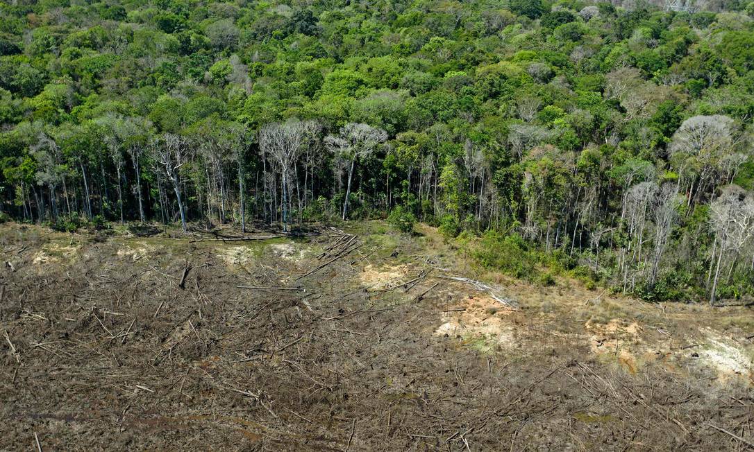Brasil tem 2º pior ano de desmate da Amazônia da história recente