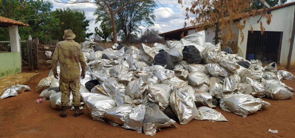PM apreende mais de 8 toneladas de maconha no interior baiano