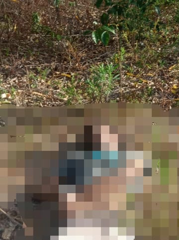 Corpo foi encontrado em plantação de eucaliptos na manhã desta quarta-feira (22), em Alagoinhas