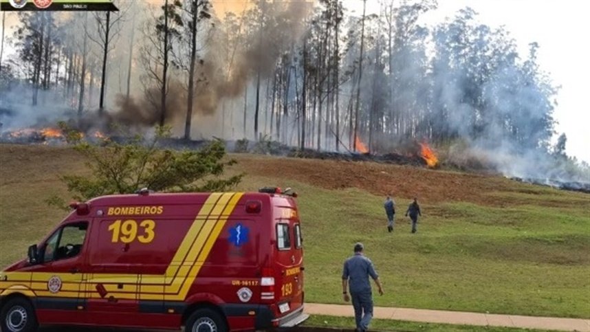 Empresário do agro e família morrem em queda de avião; vídeos