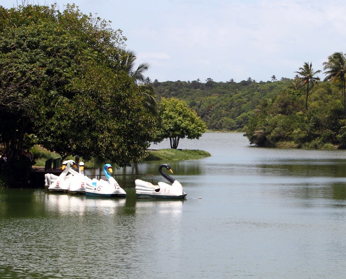 Governo da Bahia fecha parceria com BNDES para viabilizar concessão do Parque de Pituaçu à iniciativa privada