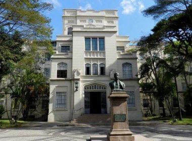 Após EUA transplantar rim de porco para paciente com morte cerebral, USP deve iniciar testes