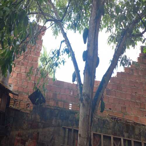 Jovem morre após muro desabar, no bairro Jardim Petrolar em Alagoinhas
