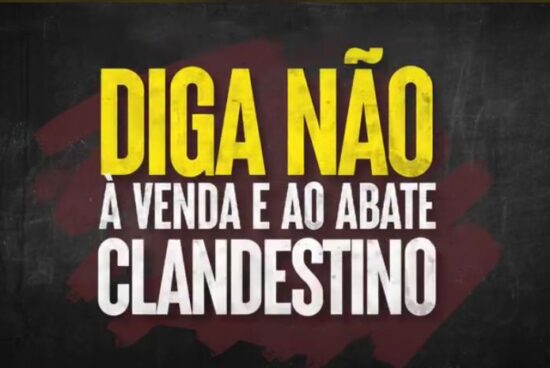Prefeitura de Alagoinhas promove campanha contra abate clandestino
