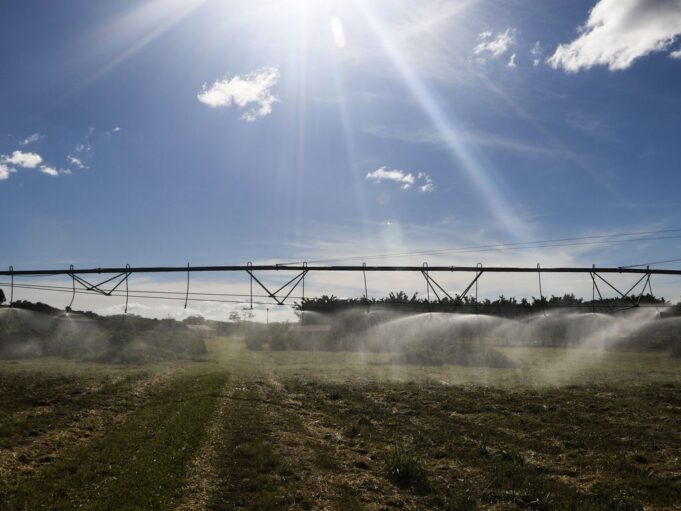 Câmara aprova projeto que facilita liberação de agrotóxicos