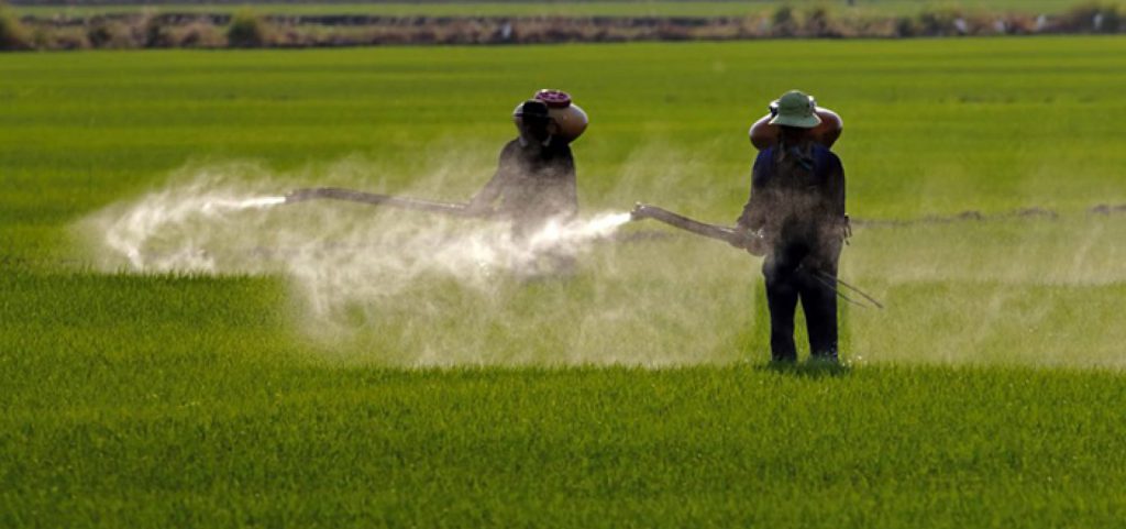 MP aciona governo da Bahia para maior fiscalização de agrotóxicos no estado: “Insatisfatório”