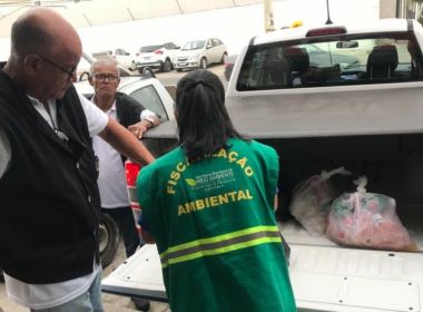 Feira: Fiscais interditam frigorífico e encontram quase 60 kg de carne vencida