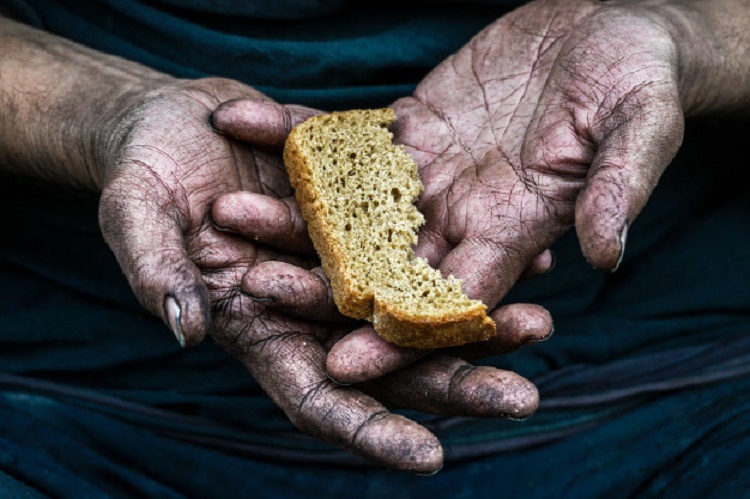 33,1 milhões de pessoas no Brasil passam fome, aponta pesquisa