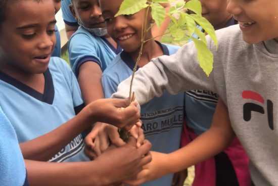 Mais novidades no I Festival Sustentável de Alagoinhas