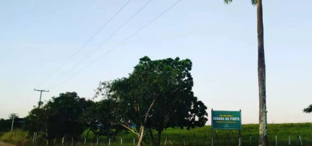 Incêndio atinge fazenda de família do ator Marcos Palmeira no sul da Bahia