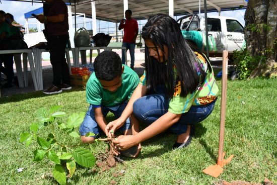 Alagoinhas: Dia da árvore é celebrado com plantio de mudas nativas na Praça dos Esportes