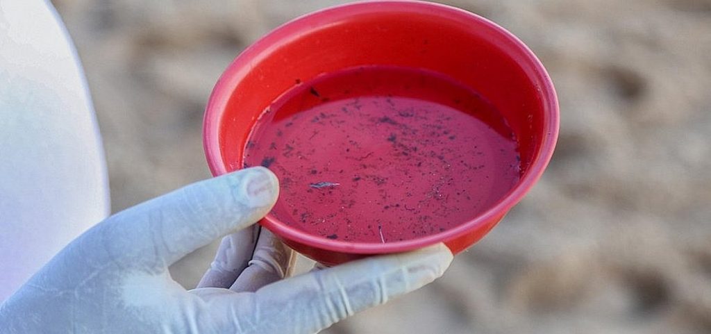 Brasil atinge 408 mil casos de dengue, aponta Ministério da Saúde